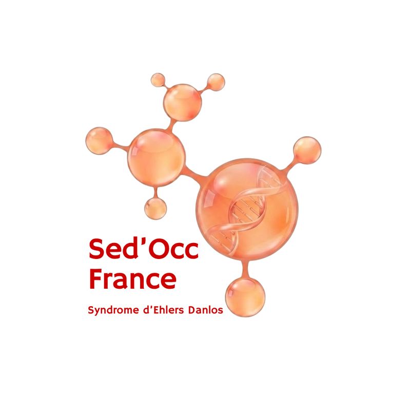 Photo 2 de SED'OCC France